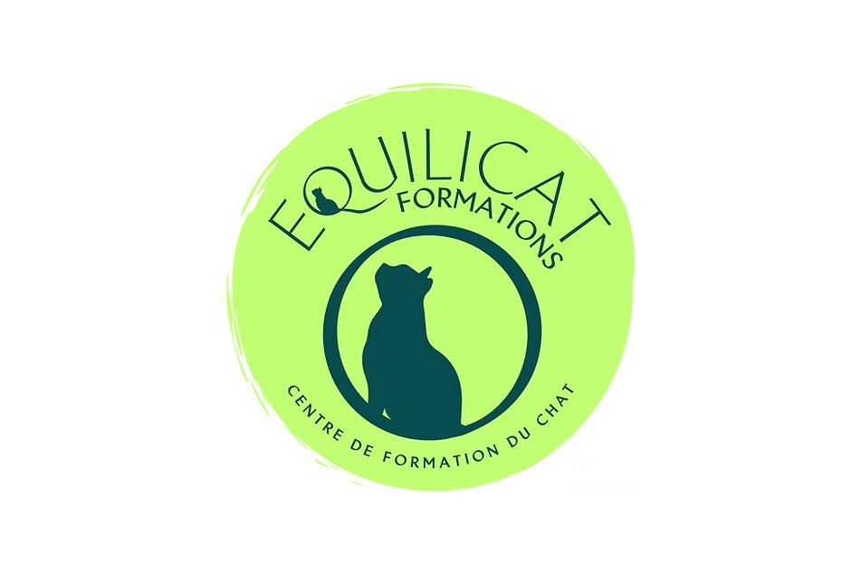 Logo Equilicat, en référence aux formations suivies en cat-sitting et sur les chats gériatriques.