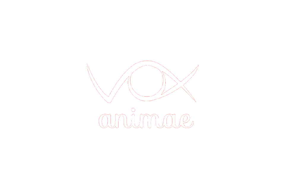 Logo Vox Animae, en référence aux formations suivies en pratiques éthologiques et bienveillantes pour le bien-être animal.